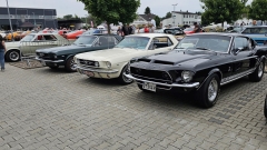 2025-07-06-Bild-082-Webside