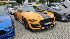 2025-07-06-Bild-106-Webside