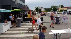 2025-07-06-Bild-133-Webside