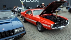 2025-07-06-Bild-139-Webside