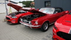 2025-07-06-Bild-141-Webside