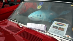 2025-07-06-Bild-142-Webside