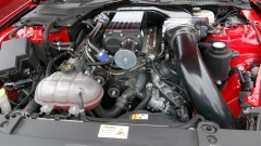 2025-07-06-Bild-143-Webside